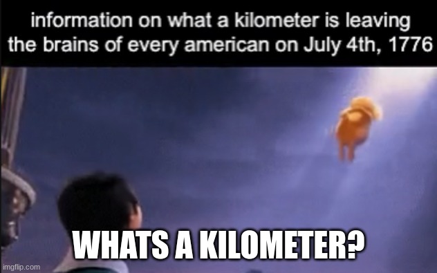 what is it? | WHATS A KILOMETER? | image tagged in lorax | made w/ Imgflip meme maker