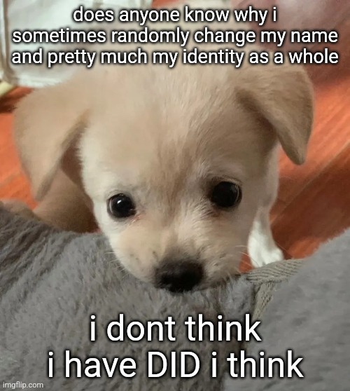 im starting to think i might be a system | does anyone know why i sometimes randomly change my name and pretty much my identity as a whole; i dont think i have DID i think | image tagged in hi | made w/ Imgflip meme maker
