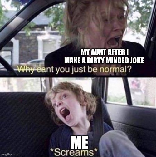 True | MY AUNT AFTER I MAKE A DIRTY MINDED JOKE; ME | image tagged in why can't you just be normal | made w/ Imgflip meme maker