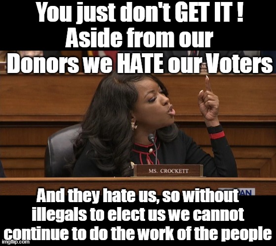 Must be the New Dem Credo 101 | You just don't GET IT !
Aside from our Donors we HATE our Voters; And they hate us, so without illegals to elect us we cannot continue to do the work of the people | image tagged in crockett hate voters illegals vote meme | made w/ Imgflip meme maker