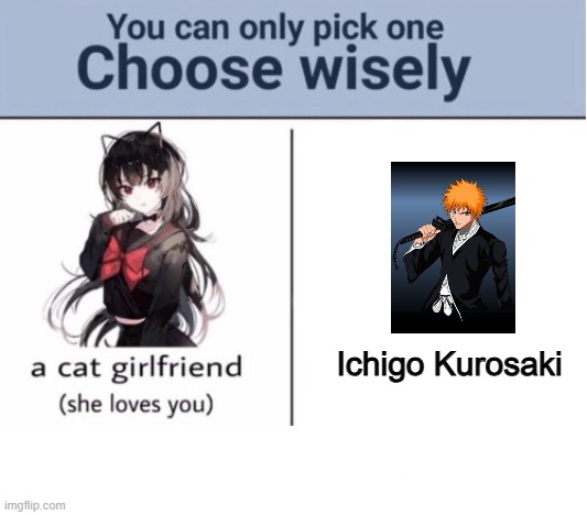 The right side | Ichigo Kurosaki | image tagged in choose wisely,based,bleach,ichigo | made w/ Imgflip meme maker