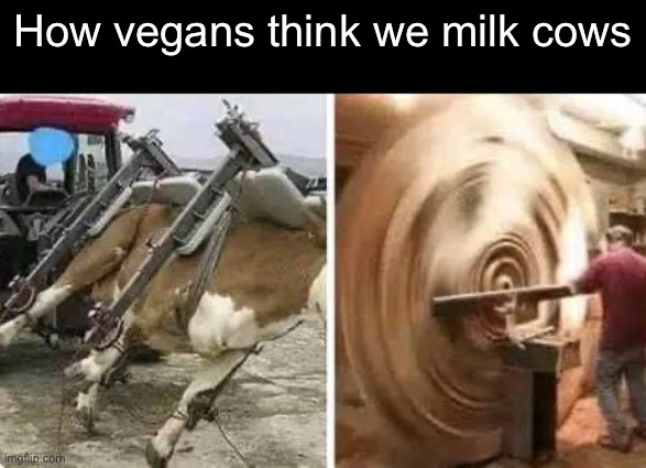How vegans think we milk cows | made w/ Imgflip meme maker