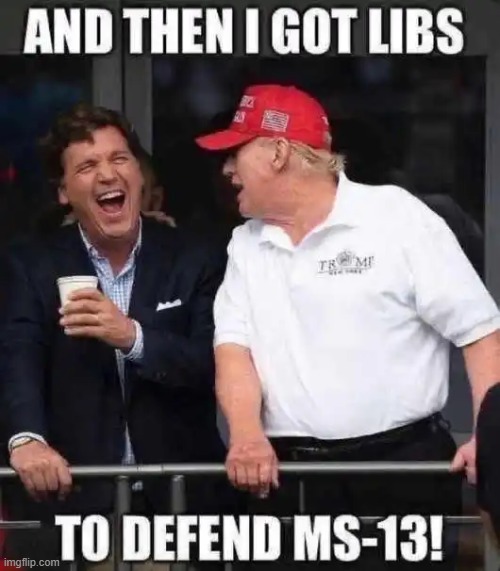 You can't make this stuff up.... | image tagged in liberals,crazy,gangs,support,criminals,twilight zone | made w/ Imgflip meme maker