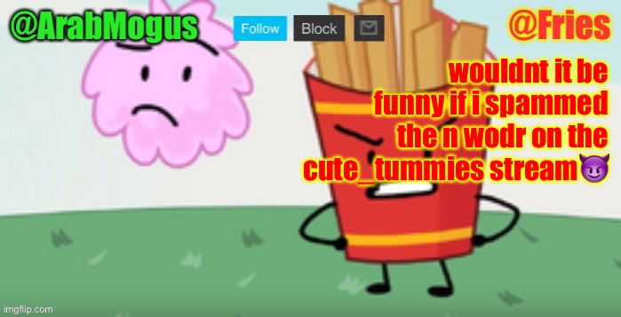 ArabMogus and Fries shared temp | wouldnt it be funny if i spammed the n wodr on the cute_tummies stream😈 | image tagged in arabmogus and fries shared temp | made w/ Imgflip meme maker