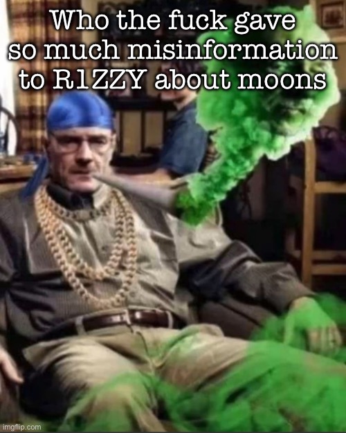 Waltuh | Who the fuck gave so much misinformation to R1ZZY about moons | image tagged in waltuh,msmg | made w/ Imgflip meme maker