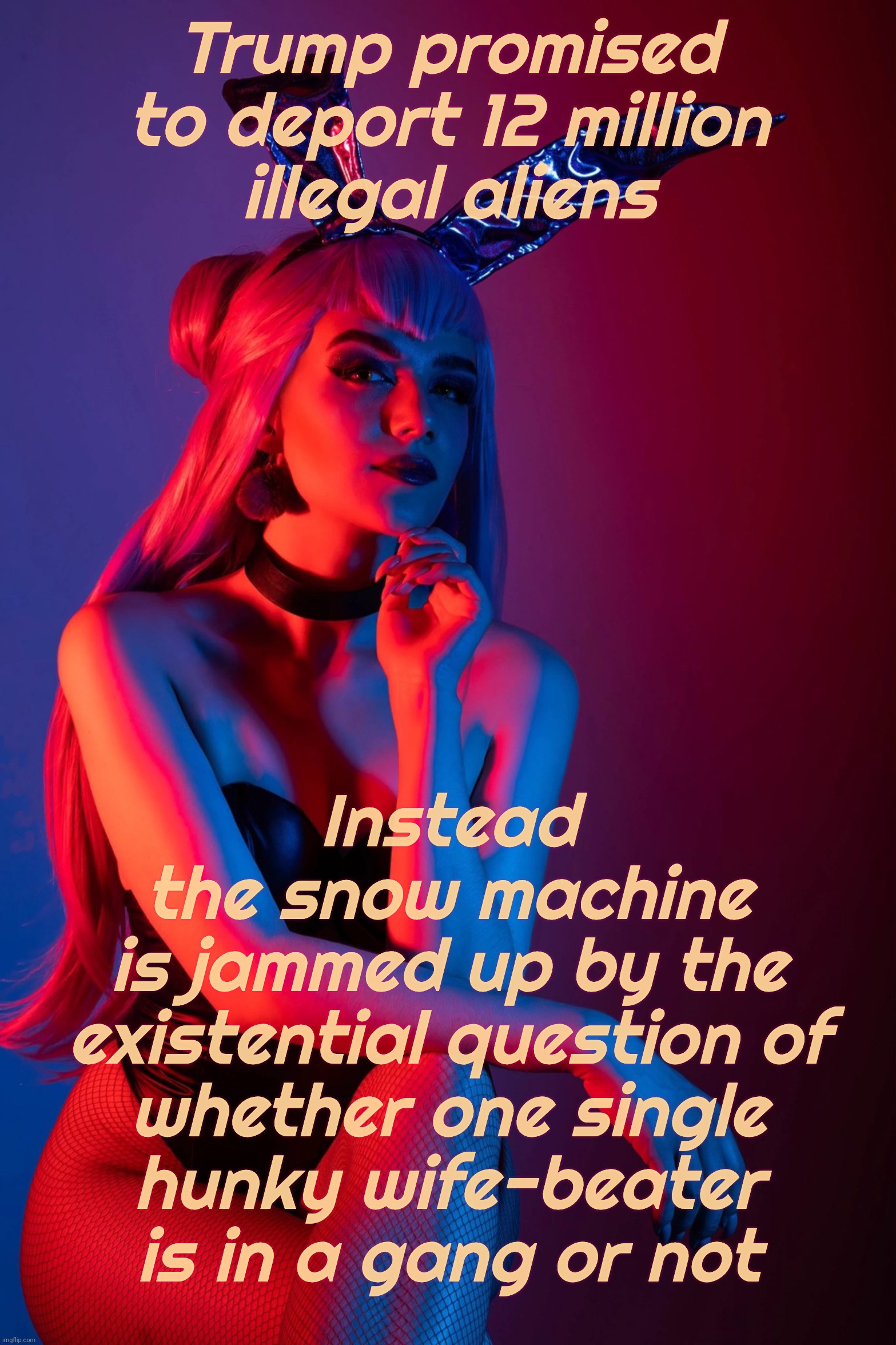 Cosplay | Trump promised to deport 12 million
illegal aliens; Instead
the snow machine
is jammed up by the
existential question of
whether one single
hunky wife-beater
is in a gang or not | image tagged in cosplay | made w/ Imgflip meme maker