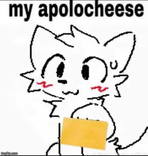 To every homophobe I’ve offended by being cute at, I’m sowwy | image tagged in why are you reading the tags | made w/ Imgflip meme maker