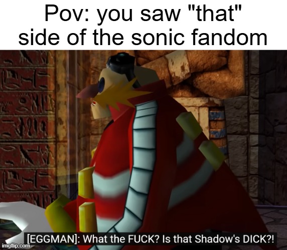 The sonic fandom | Pov: you saw "that" side of the sonic fandom | image tagged in yikes | made w/ Imgflip meme maker