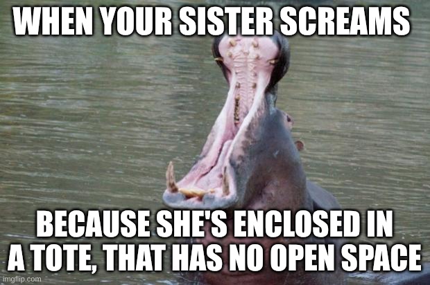 Totally Wasn't the one who was screaming and pinned it on my sister | WHEN YOUR SISTER SCREAMS; BECAUSE SHE'S ENCLOSED IN A TOTE, THAT HAS NO OPEN SPACE | image tagged in hippo mouth open | made w/ Imgflip meme maker