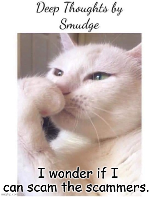 Deep-Thoughts-By-Smudge | I wonder if I can scam the scammers. | image tagged in deep-thoughts-by-smudge | made w/ Imgflip meme maker