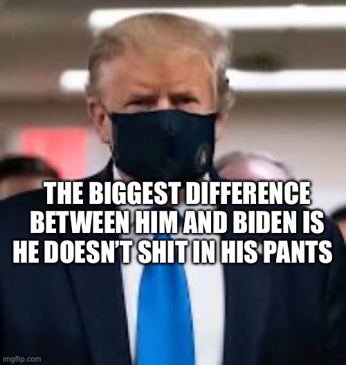Trump Mask | THE BIGGEST DIFFERENCE BETWEEN HIM AND BIDEN IS HE DOESN’T SHIT IN HIS PANTS | image tagged in trump mask | made w/ Imgflip meme maker