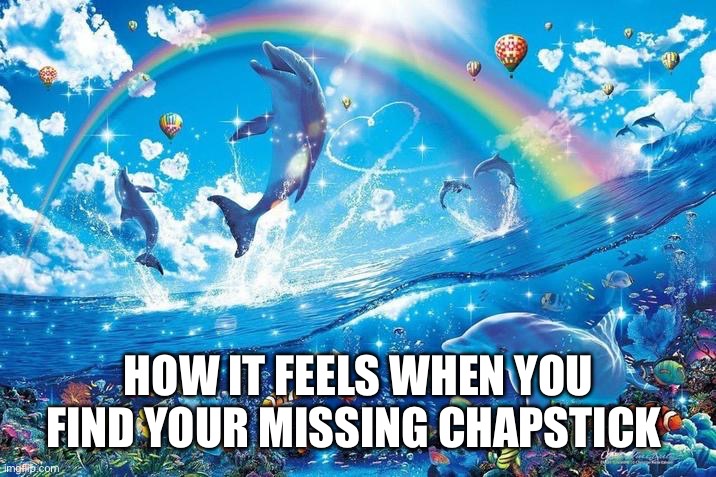 Missing Chapstick | HOW IT FEELS WHEN YOU FIND YOUR MISSING CHAPSTICK | image tagged in missing,dolphin | made w/ Imgflip meme maker