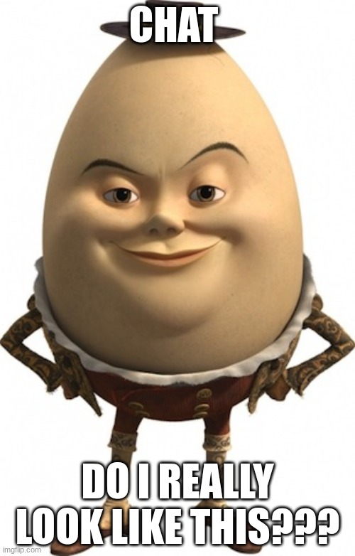 guys, just tell me you all are pullin' my leg | CHAT; DO I REALLY LOOK LIKE THIS??? | image tagged in humpty dumpty,i do not look like bro | made w/ Imgflip meme maker