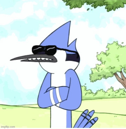 mordecai regular show shades lame | image tagged in mordecai regular show shades lame | made w/ Imgflip meme maker