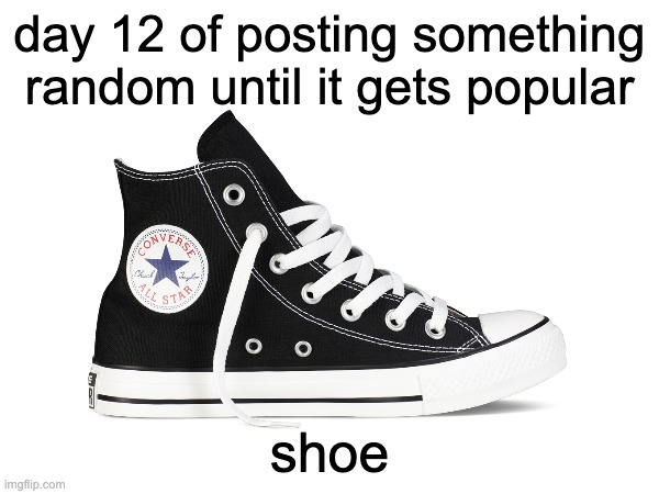 day 12: day | day 12 of posting something random until it gets popular; shoe | image tagged in shoe | made w/ Imgflip meme maker