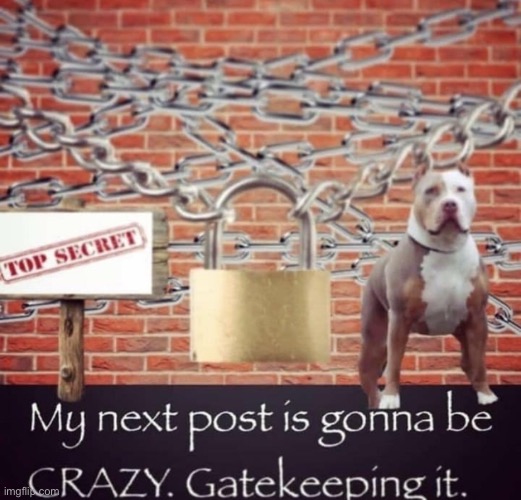 Crazy post coming soon | made w/ Imgflip meme maker