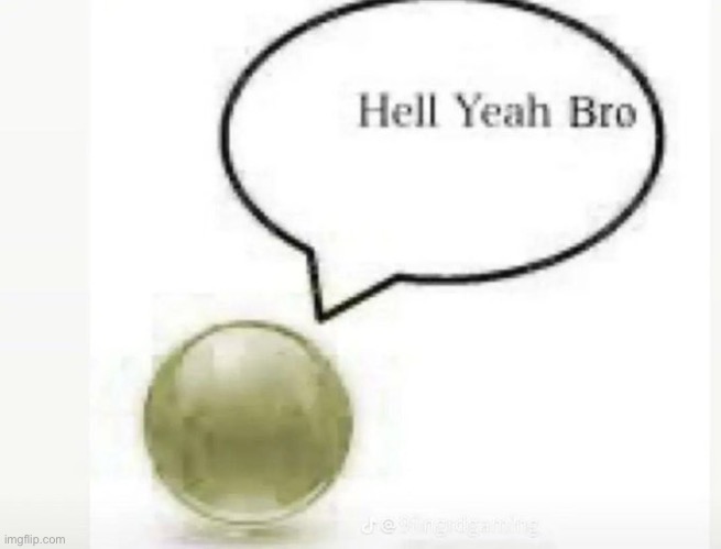 image tagged in hell yeah bro ball | made w/ Imgflip meme maker