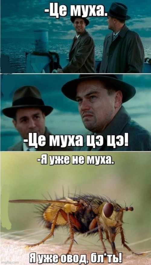 -The suck of luck. | image tagged in foreign policy,leonardo dicaprio,there will be blood,fly,insects,i should buy a boat cat | made w/ Imgflip meme maker