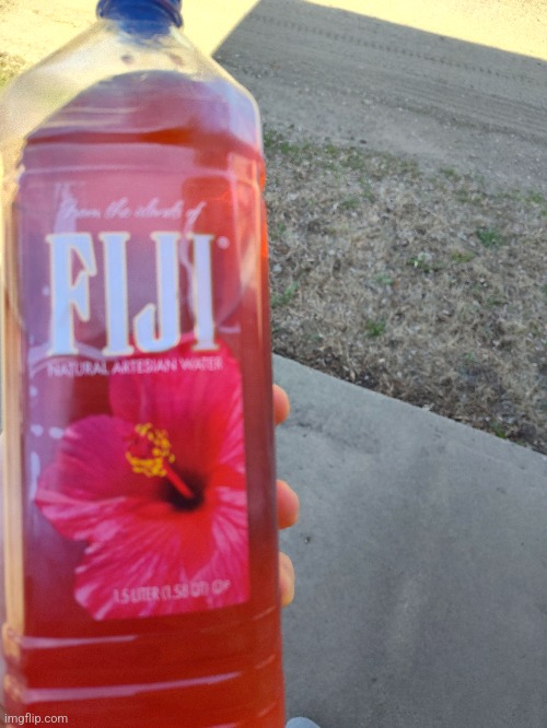Fruit punch fiji | made w/ Imgflip meme maker