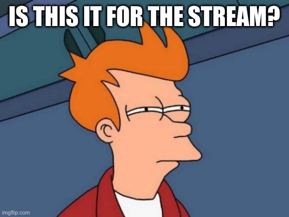 Idk | IS THIS IT FOR THE STREAM? | image tagged in memes,futurama fry | made w/ Imgflip meme maker