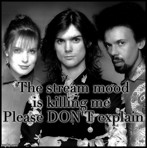 The Dream Academy | The stream mood is killing me 
Please DON'T explain | image tagged in the dream academy | made w/ Imgflip meme maker