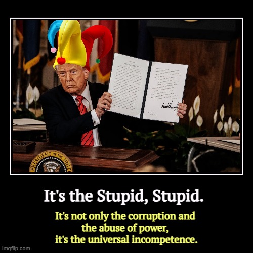 Show him a task, and Trump will botch it. Not only is he incompetent, he hires only incompetents. | It's the Stupid, Stupid. | It's not only the corruption and 
the abuse of power, 
it's the universal incompetence. | image tagged in funny,demotivationals,trump,corruption,abuse of power,incompetence | made w/ Imgflip demotivational maker