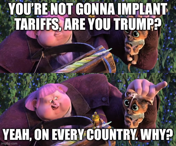 I mean… am I wrong? | YOU’RE NOT GONNA IMPLANT TARIFFS, ARE YOU TRUMP? YEAH, ON EVERY COUNTRY. WHY? | image tagged in you're not gonna shoot a puppy are ya jack | made w/ Imgflip meme maker