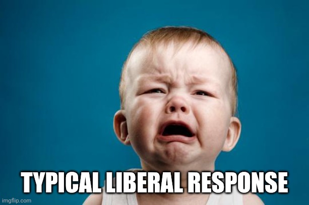 BABY CRYING | TYPICAL LIBERAL RESPONSE | image tagged in baby crying | made w/ Imgflip meme maker