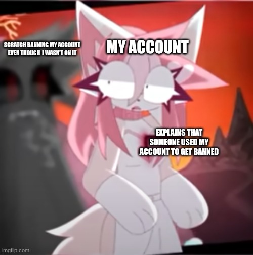 That litteraly happened to me a few days ago | SCRATCH BANNING MY ACCOUNT EVEN THOUGH  I WASN'T ON IT; MY ACCOUNT; EXPLAINS THAT SOMEONE USED MY ACCOUNT TO GET BANNED | image tagged in kellydacheetah luna | made w/ Imgflip meme maker