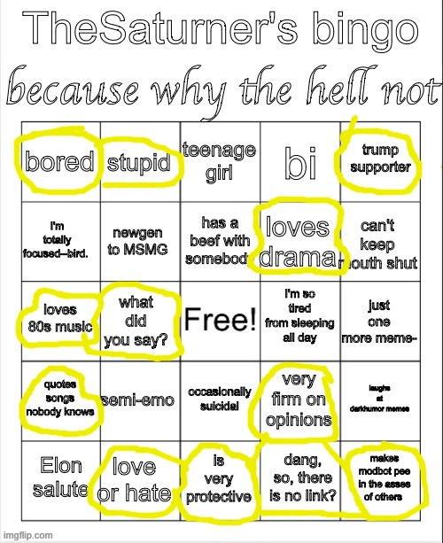 thingie | image tagged in saturner's bingo thingy | made w/ Imgflip meme maker
