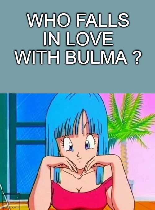 who falls in love with bulma ? Blank Meme Template