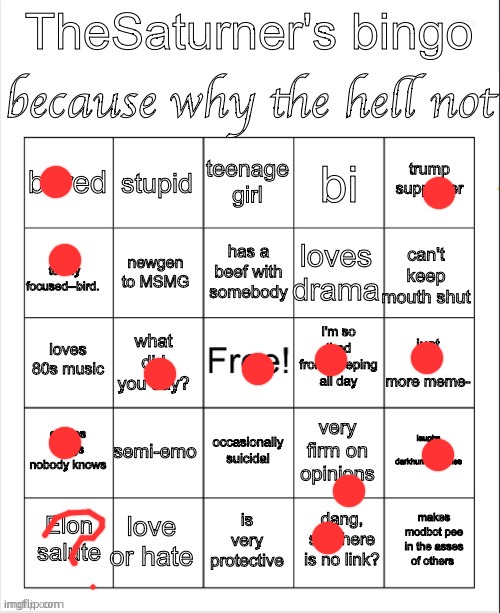 Saturner's Bingo Thingy | image tagged in saturner's bingo thingy | made w/ Imgflip meme maker