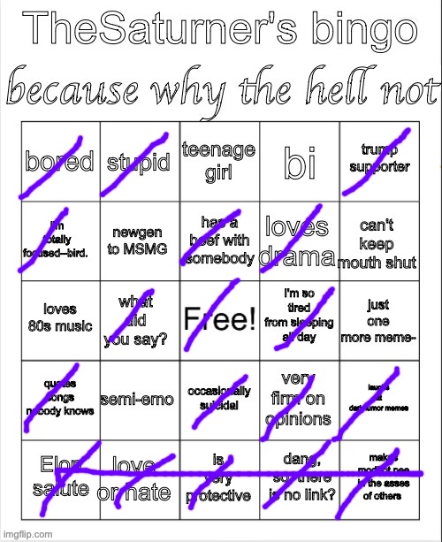 Saturner's Bingo Thingy | image tagged in saturner's bingo thingy | made w/ Imgflip meme maker