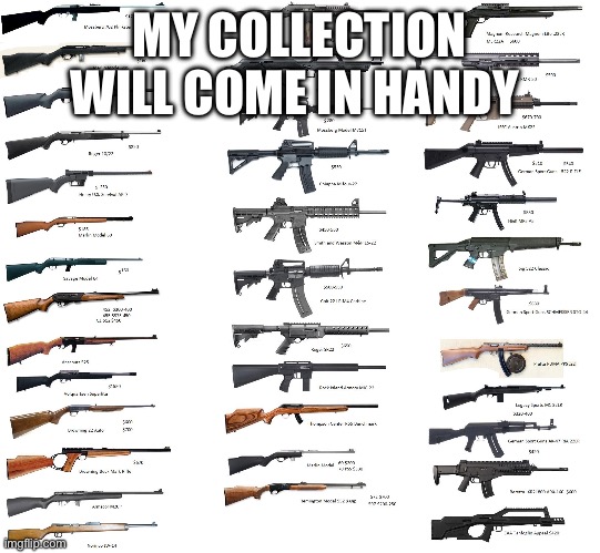 Firearms | MY COLLECTION WILL COME IN HANDY | image tagged in firearms | made w/ Imgflip meme maker