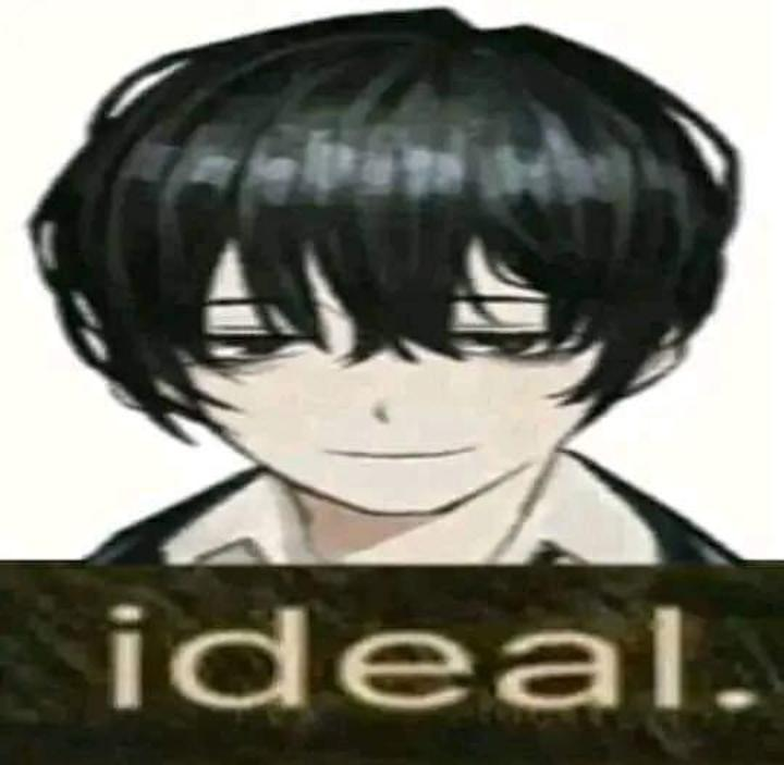 Ideal Blank Meme Template