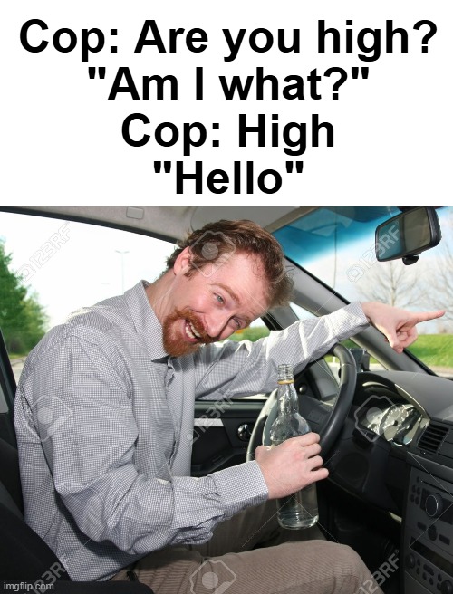 Cop: Are you high?
"Am I what?"
Cop: High
"Hello" | made w/ Imgflip meme maker