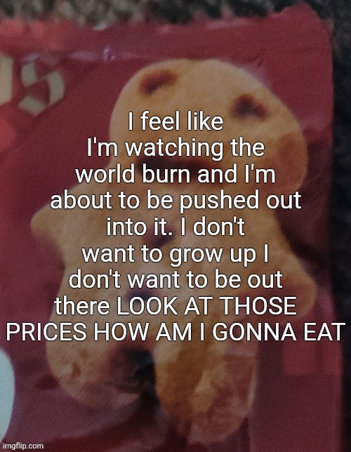 Cookie | I feel like I'm watching the world burn and I'm about to be pushed out into it. I don't want to grow up I don't want to be out there LOOK AT THOSE PRICES HOW AM I GONNA EAT | image tagged in cookie | made w/ Imgflip meme maker