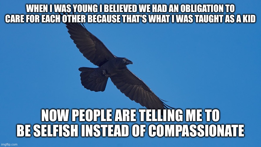 Socialist freedom raven | WHEN I WAS YOUNG I BELIEVED WE HAD AN OBLIGATION TO CARE FOR EACH OTHER BECAUSE THAT'S WHAT I WAS TAUGHT AS A KID; NOW PEOPLE ARE TELLING ME TO BE SELFISH INSTEAD OF COMPASSIONATE | image tagged in socialist freedom raven | made w/ Imgflip meme maker