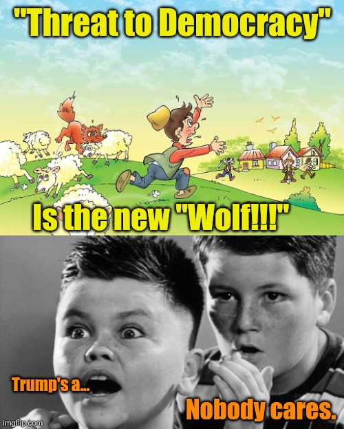 Useful Idiots are, well... Useful! | "Threat to Democracy"; Is the new "Wolf!!!"; Nobody cares. Trump's a... | image tagged in nobody cares | made w/ Imgflip meme maker