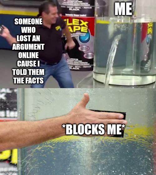 the reason they do that is cuz the know they got cooked and don't want to show it | SOMEONE WHO LOST AN ARGUMENT ONLINE CAUSE I TOLD THEM THE FACTS; ME; *BLOCKS ME* | image tagged in flex tape,memes,funny,relatable | made w/ Imgflip meme maker