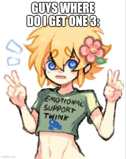 GUYS WHERE DO I GET ONE 3: | made w/ Imgflip meme maker