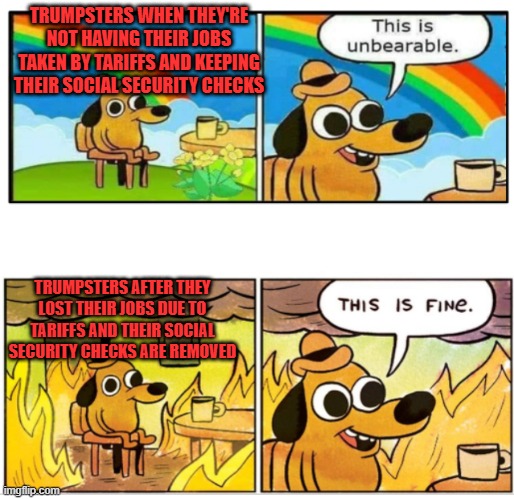 You Get What You Voted For | TRUMPSTERS WHEN THEY'RE NOT HAVING THEIR JOBS TAKEN BY TARIFFS AND KEEPING THEIR SOCIAL SECURITY CHECKS; TRUMPSTERS AFTER THEY LOST THEIR JOBS DUE TO TARIFFS AND THEIR SOCIAL SECURITY CHECKS ARE REMOVED | image tagged in unbearable | made w/ Imgflip meme maker