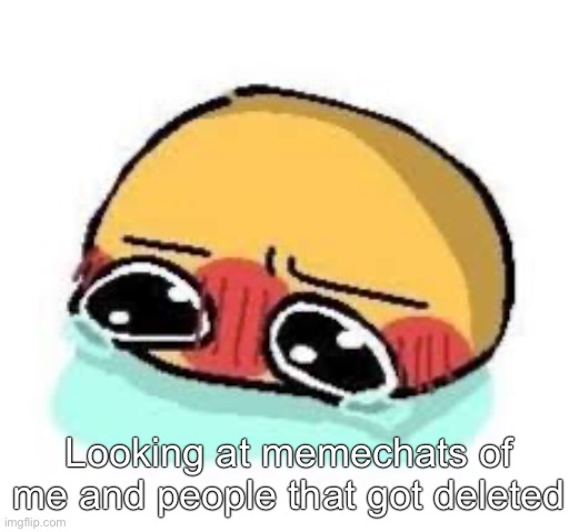 amb shamb bbbmba | Looking at memechats of me and people that got deleted | image tagged in amb shamb bbbmba | made w/ Imgflip meme maker
