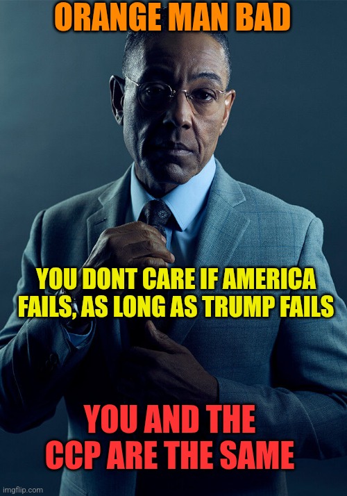 Pro America or not? | ORANGE MAN BAD; YOU DONT CARE IF AMERICA FAILS, AS LONG AS TRUMP FAILS; YOU AND THE CCP ARE THE SAME | image tagged in gus fring we are not the same | made w/ Imgflip meme maker
