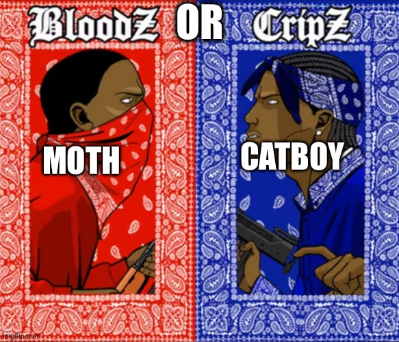 Blood Or Crip | OR; CATBOY; MOTH | image tagged in blood or crip | made w/ Imgflip meme maker