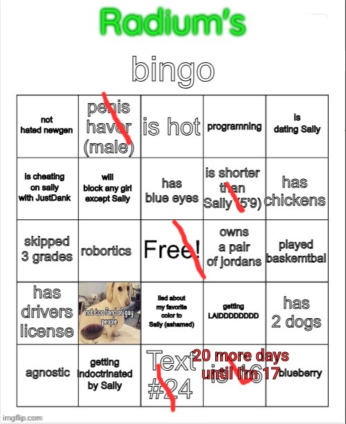 Yuh | 20 more days until I'm 17 | image tagged in radium bingo sally made this on call | made w/ Imgflip meme maker