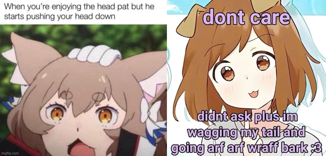 Alr, deadass debate: Catboys or Doggirls? | made w/ Imgflip meme maker