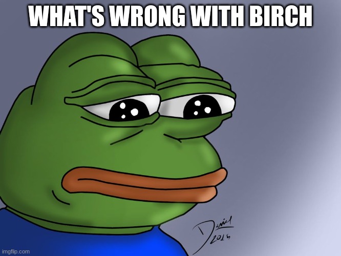 WHAT'S WRONG WITH BIRCH | image tagged in pepe sad frog | made w/ Imgflip meme maker