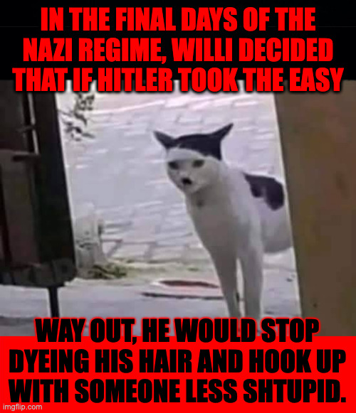 From "Tails of Hitler's Cat", translated from the original German. | IN THE FINAL DAYS OF THE
NAZI REGIME, WILLI DECIDED
THAT IF HITLER TOOK THE EASY; WAY OUT, HE WOULD STOP
DYEING HIS HAIR AND HOOK UP
WITH SOMEONE LESS SHTUPID. | image tagged in memes,hitler's cat | made w/ Imgflip meme maker