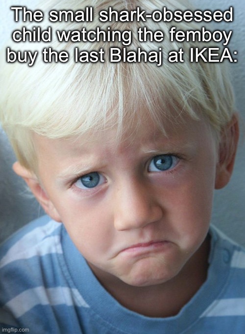 Canon event | The small shark-obsessed child watching the femboy buy the last Blahaj at IKEA: | made w/ Imgflip meme maker